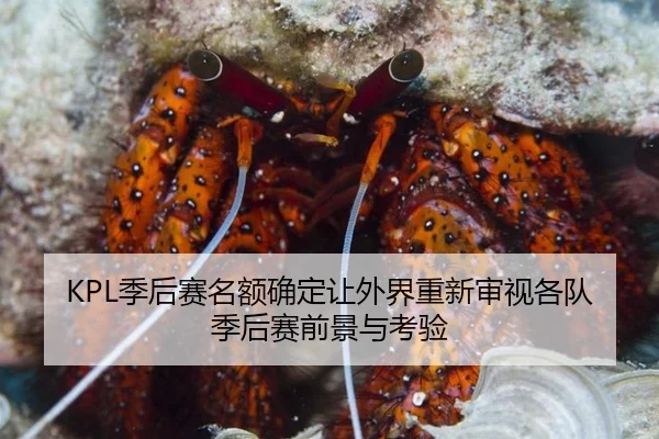 ji-hou-sai-ming-e-que-ding-rang-wai-jie-chong-xin-shen-shi-ge-dui-ji-hou-sai-qian-jing-yu-kao-yan-2-404.jpg